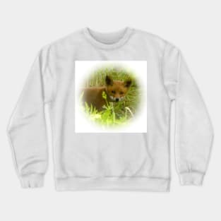 Red fox cub Crewneck Sweatshirt